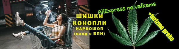 молекула духа Ладушкин