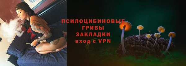 молекула духа Ладушкин