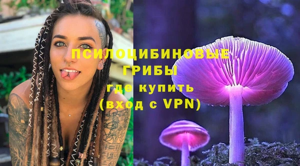 прущий лед Лагань