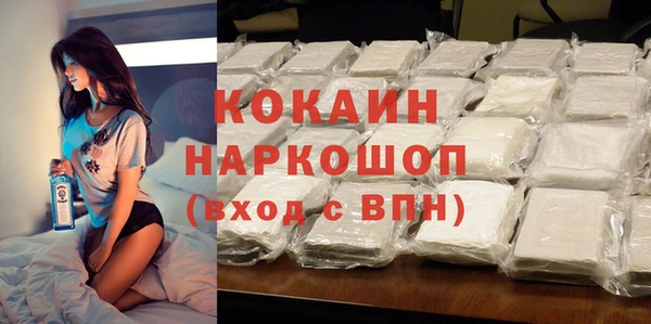молекула духа Ладушкин