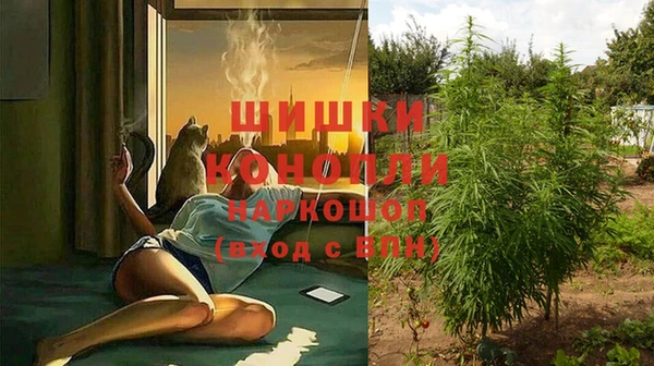 молекула духа Ладушкин